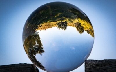 Mind your own business – an ecological imperative